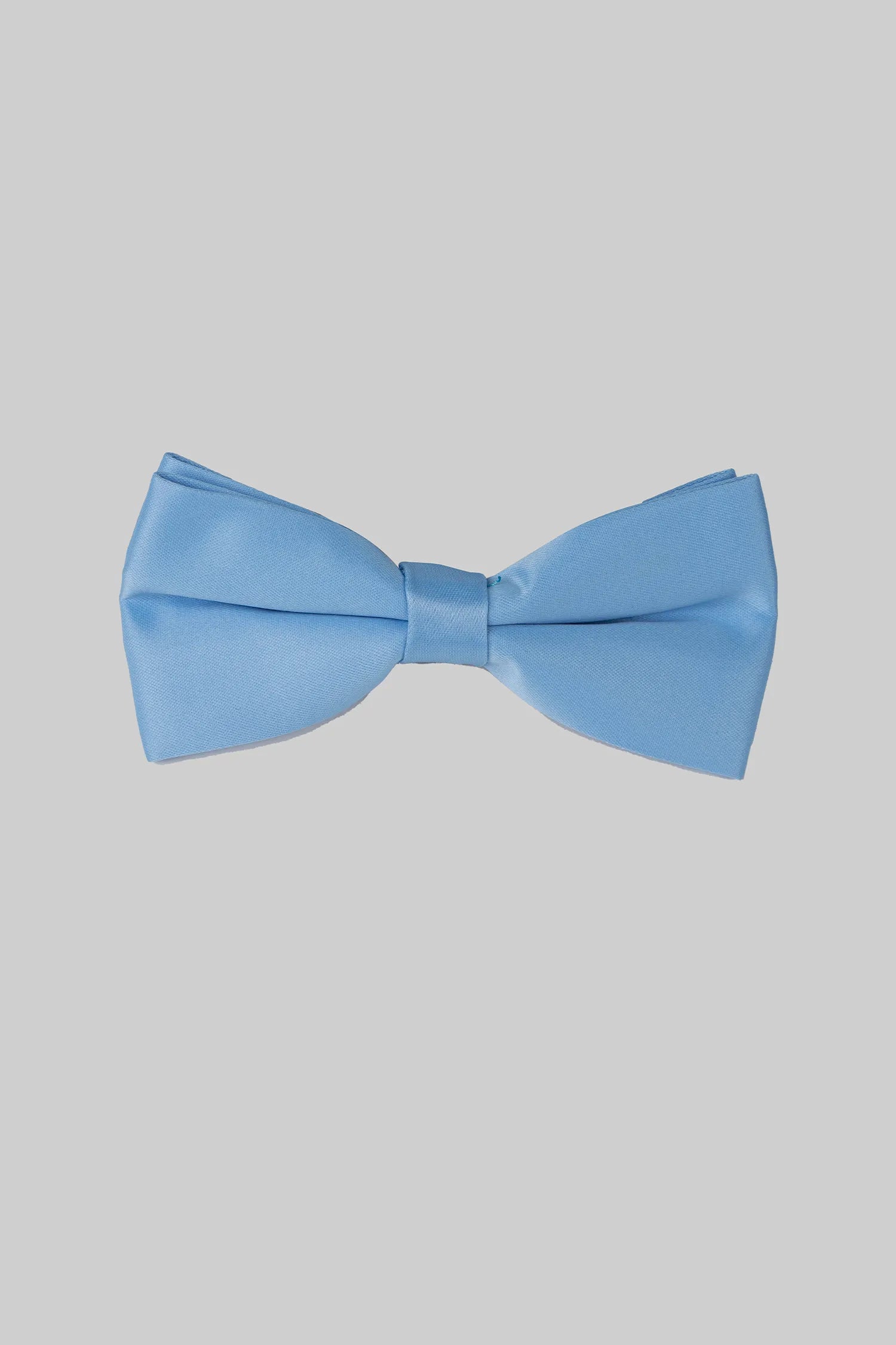Helle Blaue Seidenfliege
