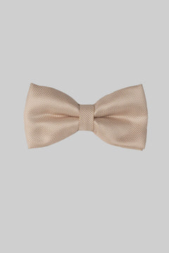Beige Seidenfliege