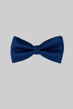 Blaue Seidenfliege
