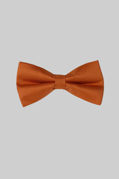 Orange Seidenfliege