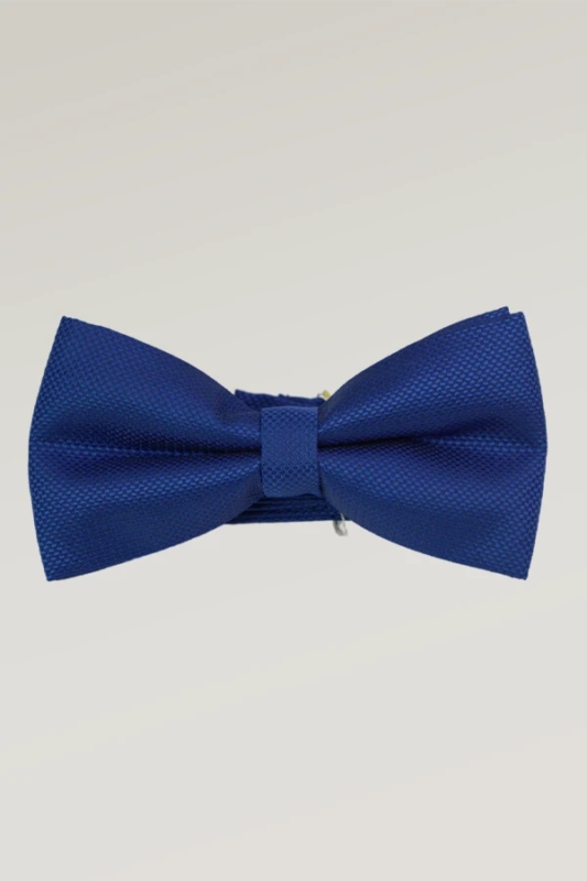 Blue pre-tied bow tie