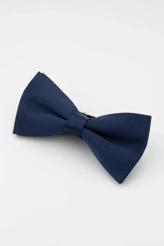 Lens dark blue bow tie