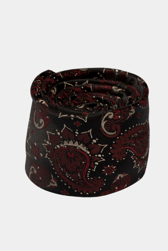 Bordo Paisley Microfiber Tie