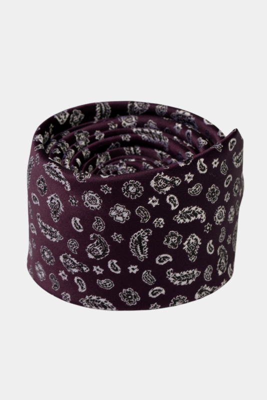 Indigo Paisley Mikrofaser-Krawatte